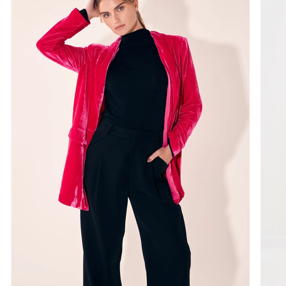 Velvet Blazer - Picture 5 of 5